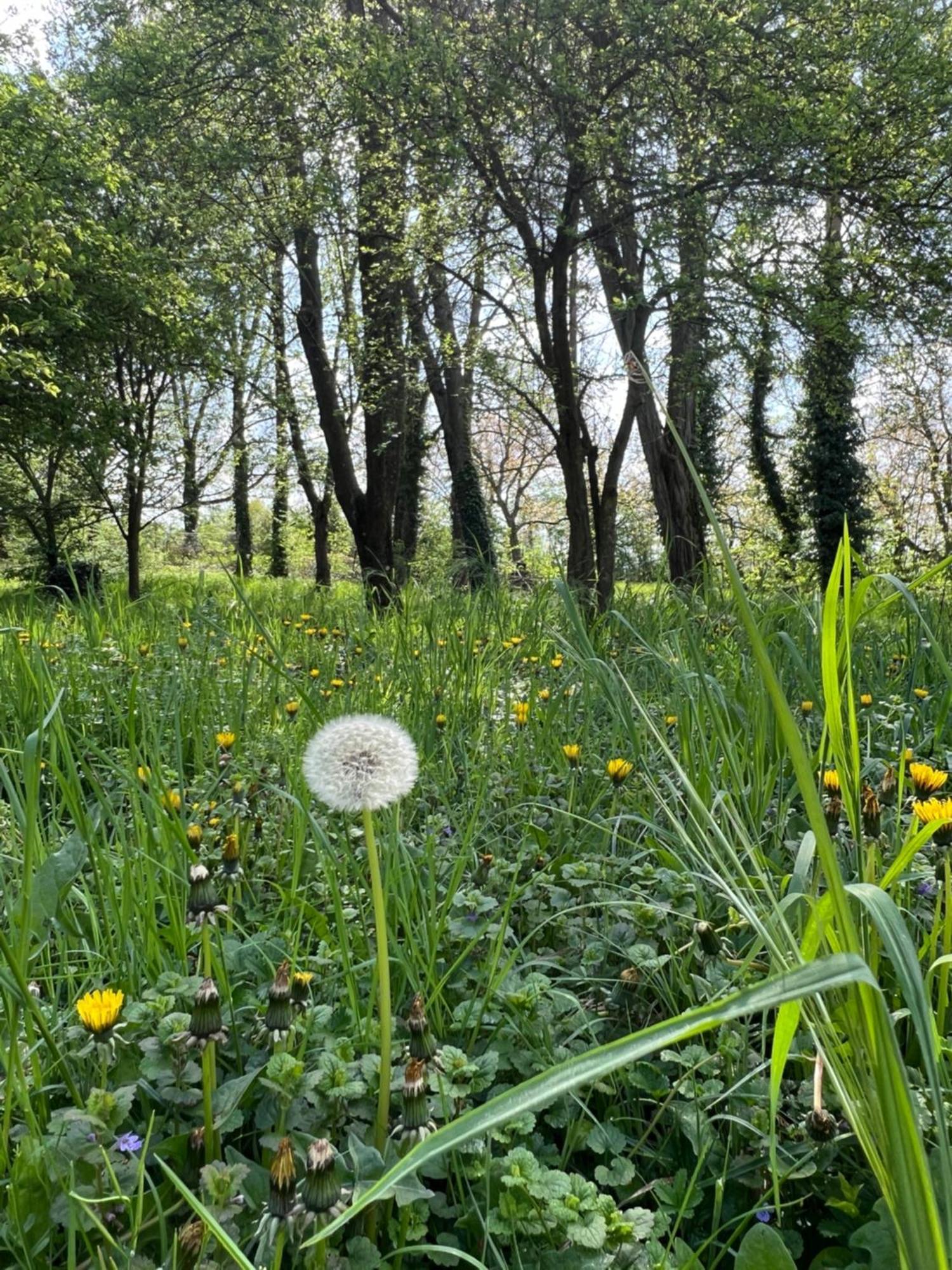 Landgasthof Gaensberg Wiesloch Zewnętrze zdjęcie